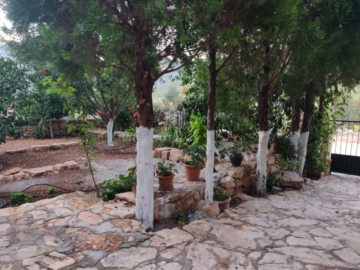 Olivia Homes Kaş Zewnętrze zdjęcie